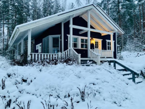 Blueberry Villa at Saimaa Lakeside